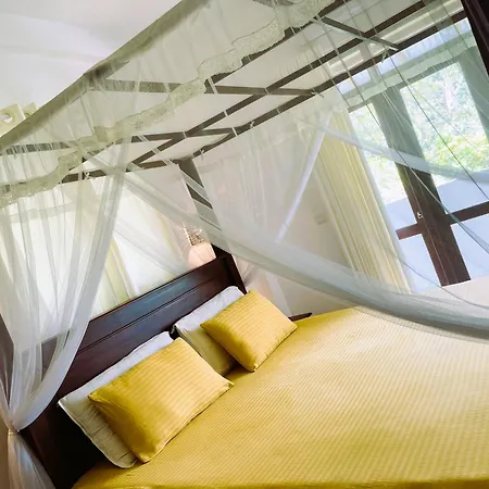 New Cinnamon Villa Bentota Exterior photo