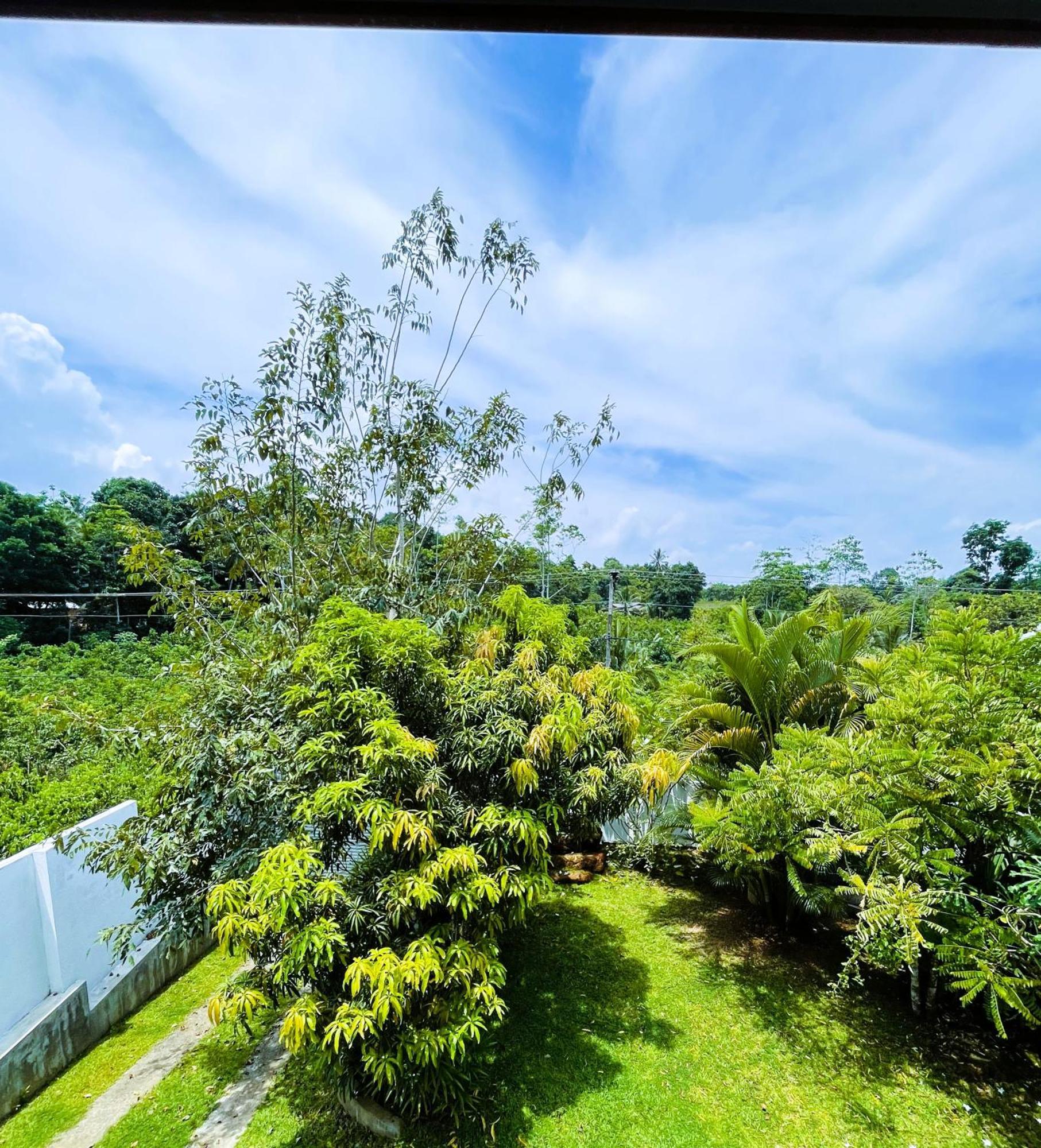 New Cinnamon Apartment Bentota